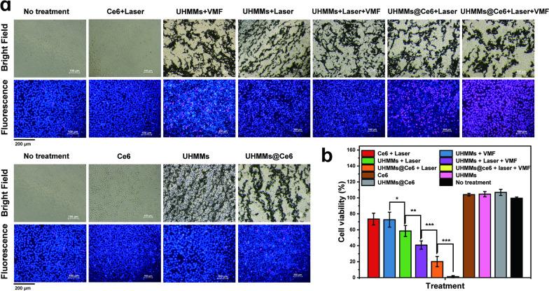 https://cdn.ncbi.nlm.nih.gov/pmc/blobs/812a/9097396/69b69022650d/12951_2022_1411_Fig4_HTML.jpg