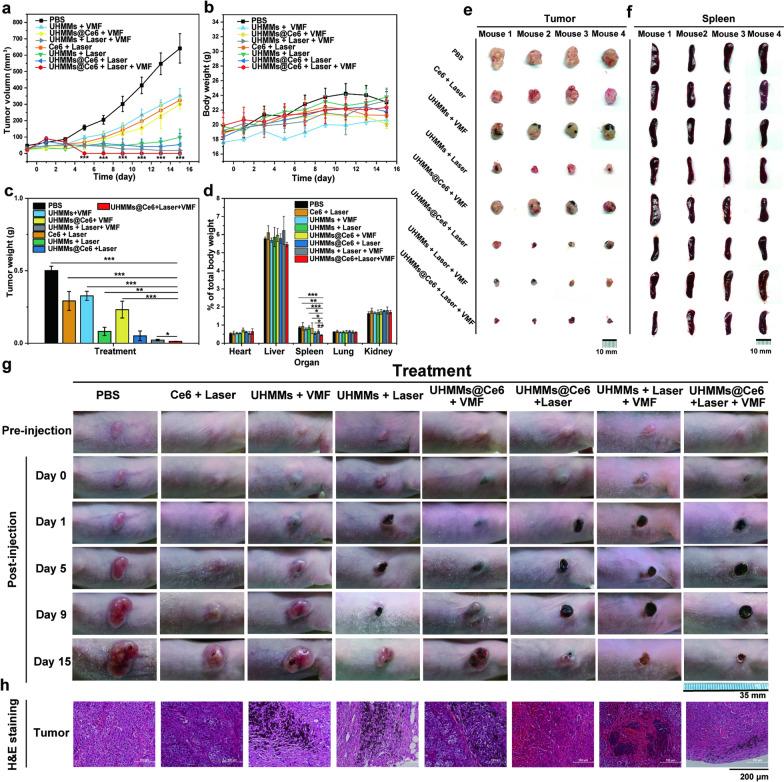 https://cdn.ncbi.nlm.nih.gov/pmc/blobs/812a/9097396/80e17eea0766/12951_2022_1411_Fig6_HTML.jpg