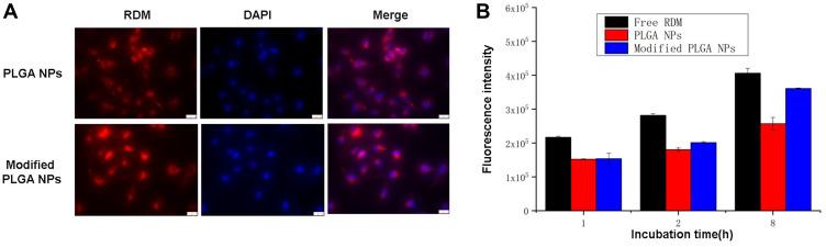 https://cdn.ncbi.nlm.nih.gov/pmc/blobs/812d/8216700/802e37a4b8ee/DDDT-15-2605-g0008.jpg
