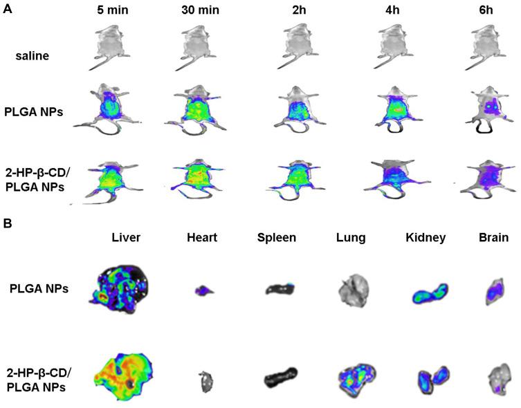 https://cdn.ncbi.nlm.nih.gov/pmc/blobs/812d/8216700/9da810e55f16/DDDT-15-2605-g0010.jpg