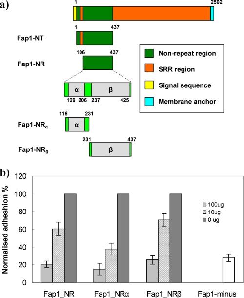 https://cdn.ncbi.nlm.nih.gov/pmc/blobs/812e/2952246/8a33acf517b4/zbc0381029970001.jpg