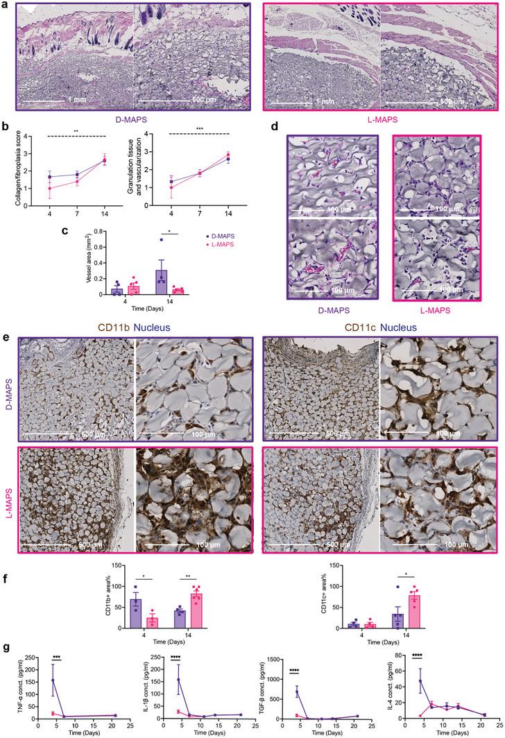 https://cdn.ncbi.nlm.nih.gov/pmc/blobs/8130/10104668/a6f94cbde4b9/ADVS-10-2204882-g004.jpg