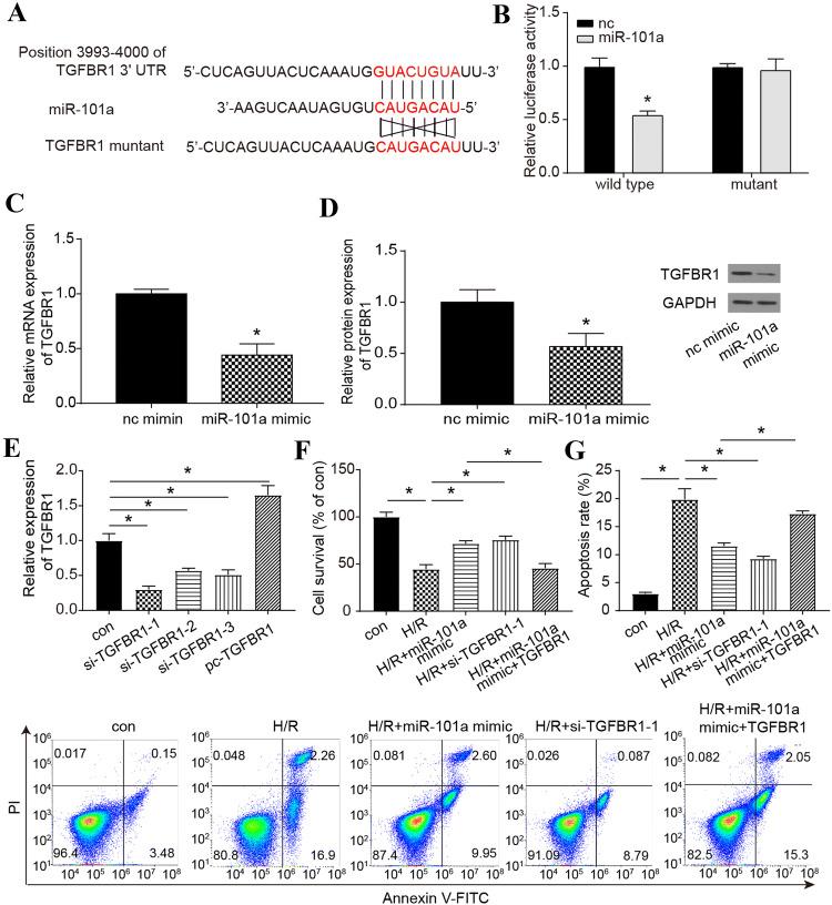https://cdn.ncbi.nlm.nih.gov/pmc/blobs/8130/7272390/bc2dea430048/11010_2020_3743_Fig2_HTML.jpg
