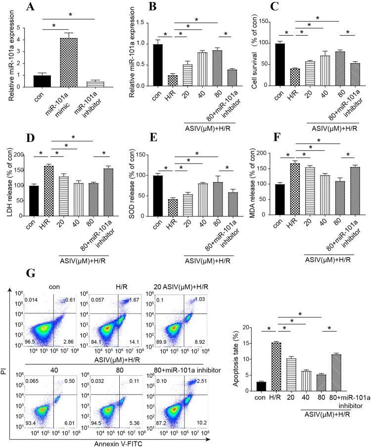 https://cdn.ncbi.nlm.nih.gov/pmc/blobs/8130/7272390/bd5937d37acb/11010_2020_3743_Fig1_HTML.jpg