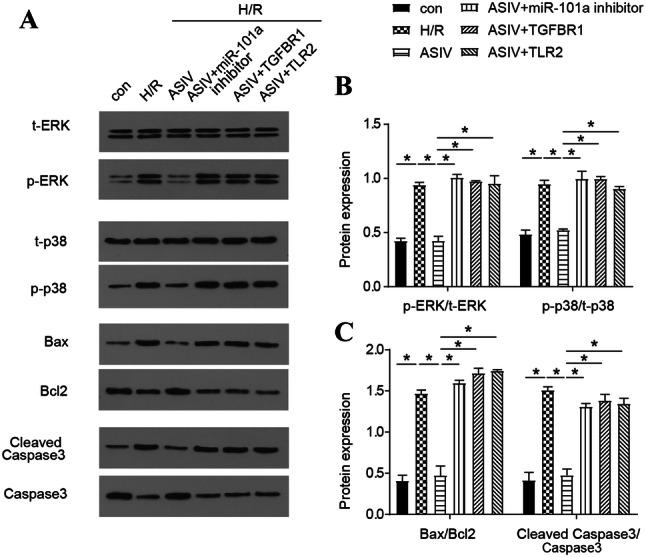 https://cdn.ncbi.nlm.nih.gov/pmc/blobs/8130/7272390/e99c7bce6cfe/11010_2020_3743_Fig5_HTML.jpg