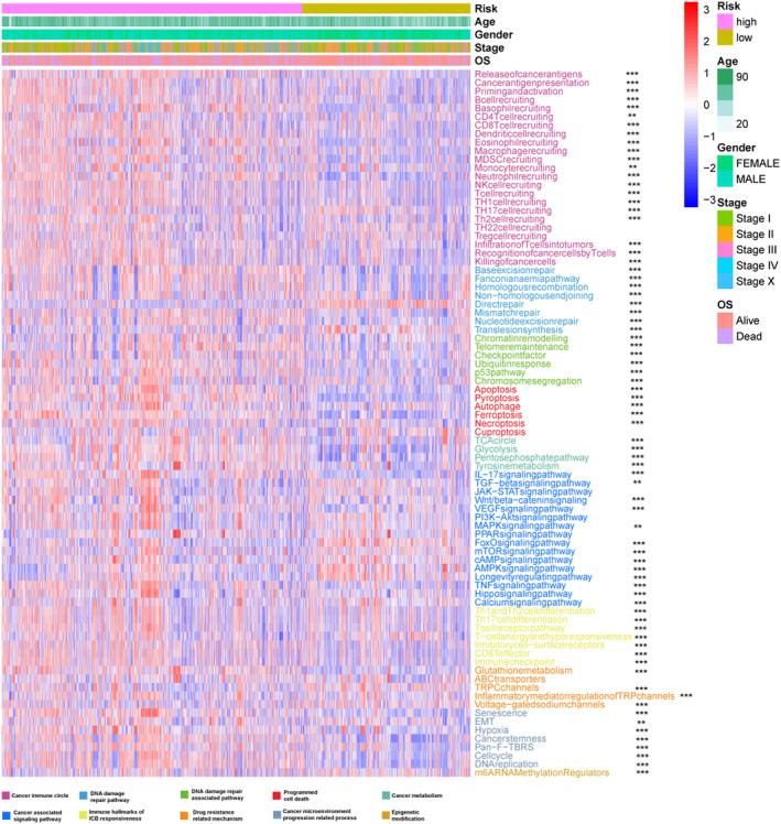 https://cdn.ncbi.nlm.nih.gov/pmc/blobs/8131/11421991/8ef9f16a356c/JCMM-28-e70094-g002.jpg