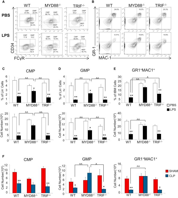 https://cdn.ncbi.nlm.nih.gov/pmc/blobs/8131/4911503/272197f92032/gr3.jpg