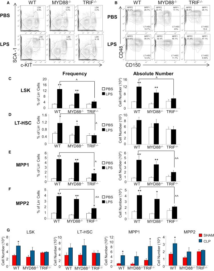 https://cdn.ncbi.nlm.nih.gov/pmc/blobs/8131/4911503/65d42ffb335a/gr1.jpg