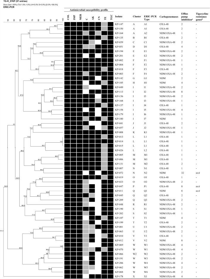 https://cdn.ncbi.nlm.nih.gov/pmc/blobs/8132/10909888/b647113f41b9/41598_2024_55705_Fig1_HTML.jpg
