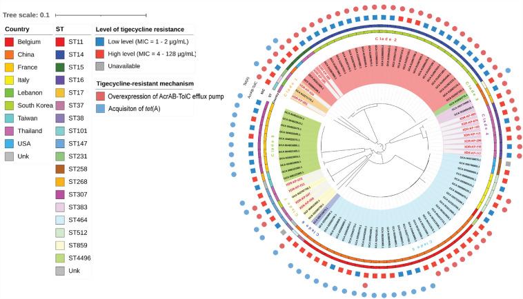 https://cdn.ncbi.nlm.nih.gov/pmc/blobs/8132/10909888/fe03bc99264e/41598_2024_55705_Fig3_HTML.jpg