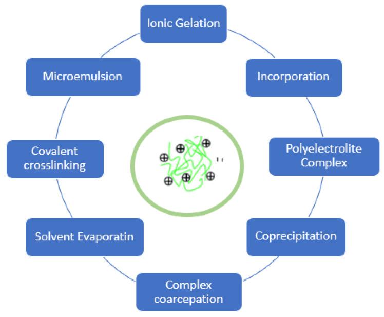 https://cdn.ncbi.nlm.nih.gov/pmc/blobs/8132/8197416/141d83dbe148/polymers-13-01717-g004.jpg