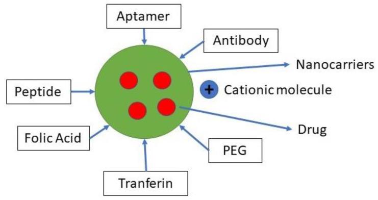 https://cdn.ncbi.nlm.nih.gov/pmc/blobs/8132/8197416/45f5e4dda269/polymers-13-01717-g003.jpg