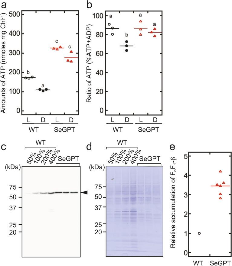 https://cdn.ncbi.nlm.nih.gov/pmc/blobs/8134/9816115/a42793c60032/41598_2022_26760_Fig4_HTML.jpg