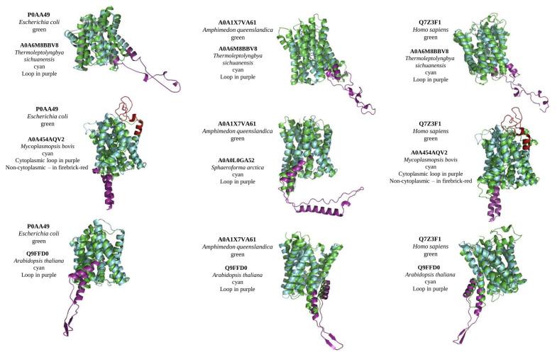 https://cdn.ncbi.nlm.nih.gov/pmc/blobs/8137/9330825/32ccab7e08dc/ijms-23-08094-g002.jpg