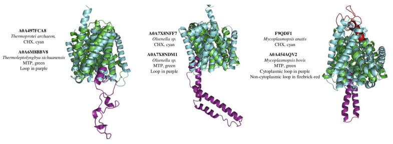 https://cdn.ncbi.nlm.nih.gov/pmc/blobs/8137/9330825/d2d052bf6ba6/ijms-23-08094-g003.jpg