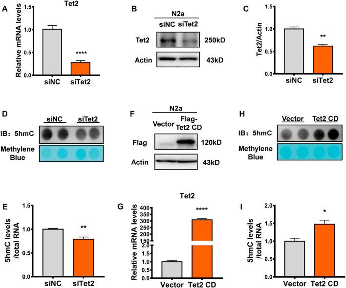 https://cdn.ncbi.nlm.nih.gov/pmc/blobs/8138/10117899/245e5e120f9f/fgene-14-1158954-g003.jpg