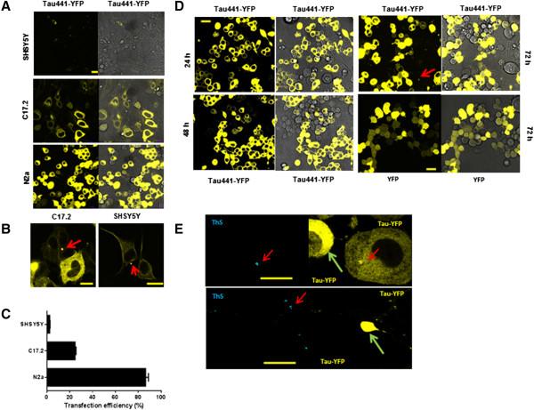 https://cdn.ncbi.nlm.nih.gov/pmc/blobs/8138/4277831/42900f746067/13024_2014_565_Fig1_HTML.jpg