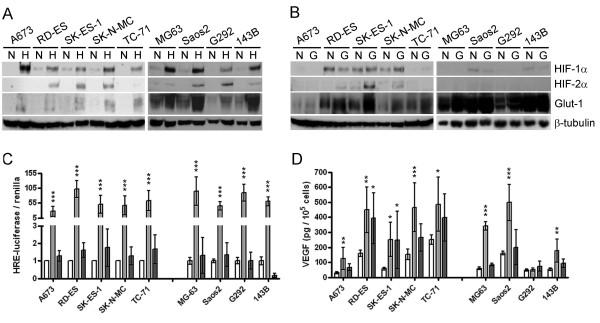 https://cdn.ncbi.nlm.nih.gov/pmc/blobs/8139/2918574/994987b3da71/1471-2407-10-372-2.jpg