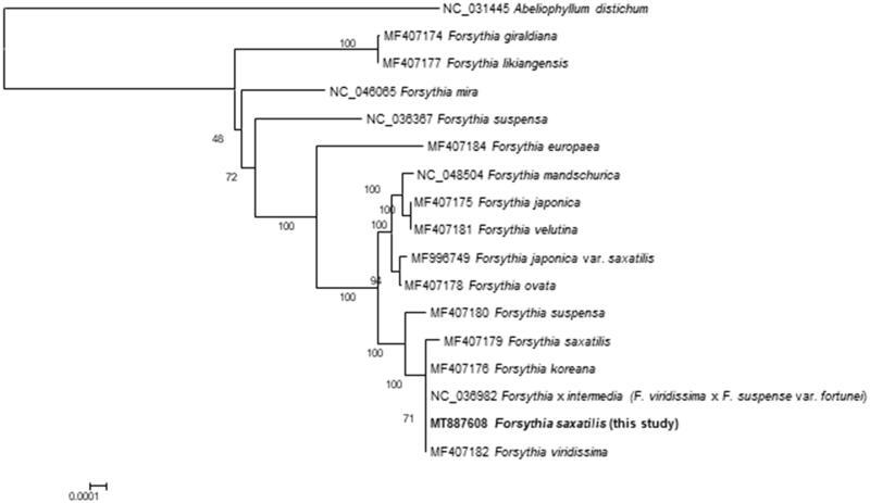 https://cdn.ncbi.nlm.nih.gov/pmc/blobs/813d/7671593/1c306291fdec/TMDN_A_1834889_F0001_B.jpg