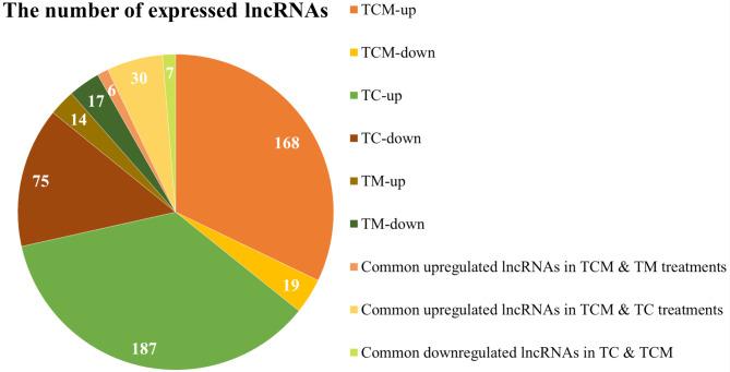 https://cdn.ncbi.nlm.nih.gov/pmc/blobs/813f/12010520/70075cb9bf36/12870_2025_6515_Fig2_HTML.jpg