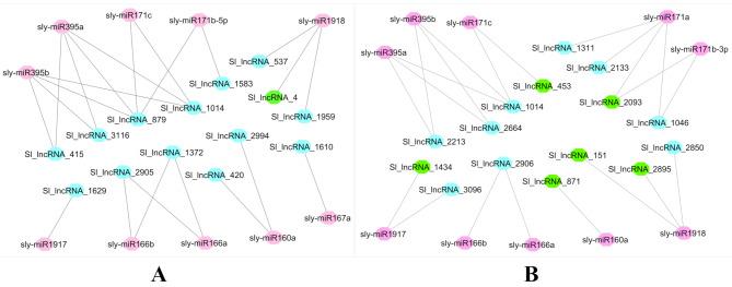 https://cdn.ncbi.nlm.nih.gov/pmc/blobs/813f/12010520/7e287c333b5a/12870_2025_6515_Fig6_HTML.jpg