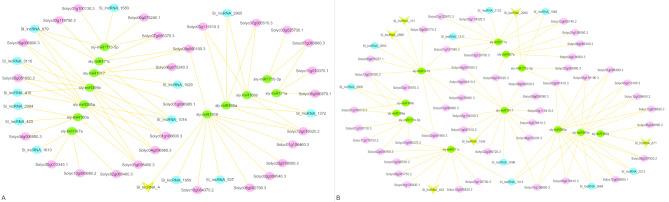 https://cdn.ncbi.nlm.nih.gov/pmc/blobs/813f/12010520/b77b760be3fb/12870_2025_6515_Fig7_HTML.jpg