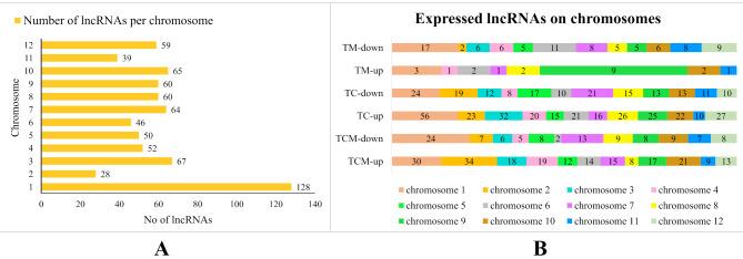 https://cdn.ncbi.nlm.nih.gov/pmc/blobs/813f/12010520/d1ee96176c26/12870_2025_6515_Fig5_HTML.jpg