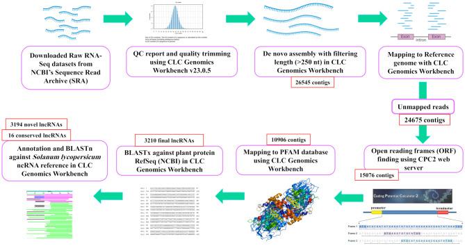 https://cdn.ncbi.nlm.nih.gov/pmc/blobs/813f/12010520/fcc9bb7edb71/12870_2025_6515_Fig1_HTML.jpg