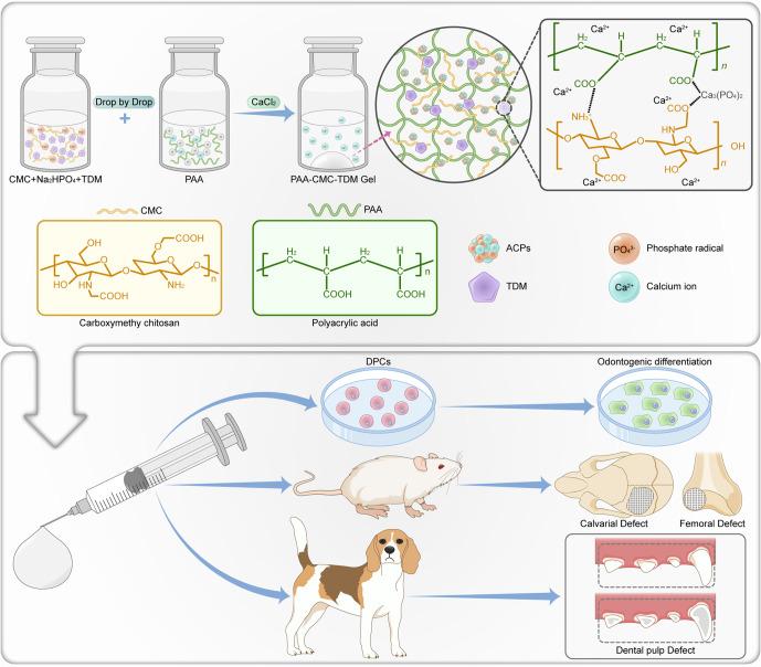 https://cdn.ncbi.nlm.nih.gov/pmc/blobs/8145/9968336/06a6687c446b/41536_2023_286_Fig1_HTML.jpg