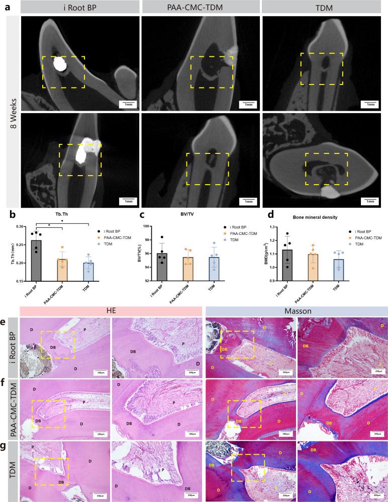 https://cdn.ncbi.nlm.nih.gov/pmc/blobs/8145/9968336/21266fbbb440/41536_2023_286_Fig10_HTML.jpg