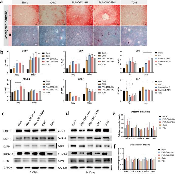 https://cdn.ncbi.nlm.nih.gov/pmc/blobs/8145/9968336/60c9448e461d/41536_2023_286_Fig6_HTML.jpg