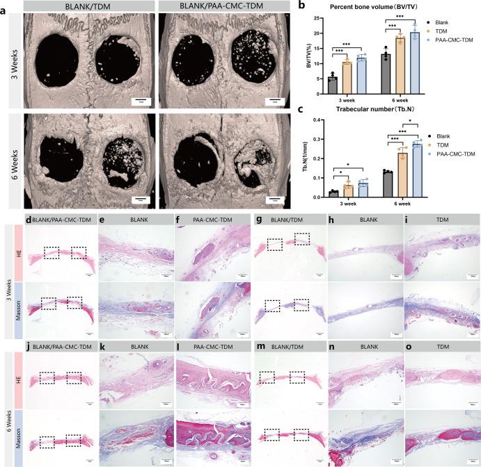 https://cdn.ncbi.nlm.nih.gov/pmc/blobs/8145/9968336/c82870973859/41536_2023_286_Fig9_HTML.jpg