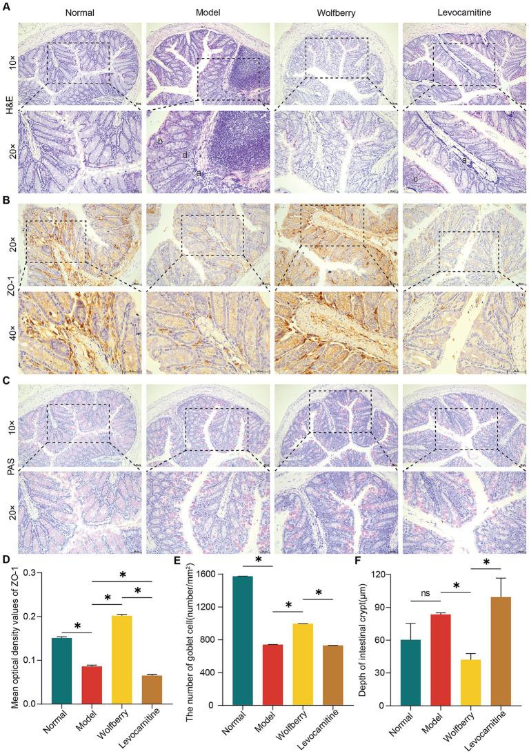 https://cdn.ncbi.nlm.nih.gov/pmc/blobs/8146/12319560/431a1d542ae0/fmicb-16-1622017-g003.jpg