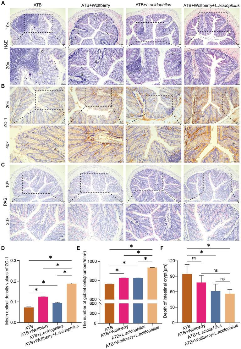 https://cdn.ncbi.nlm.nih.gov/pmc/blobs/8146/12319560/711b7caca08c/fmicb-16-1622017-g006.jpg