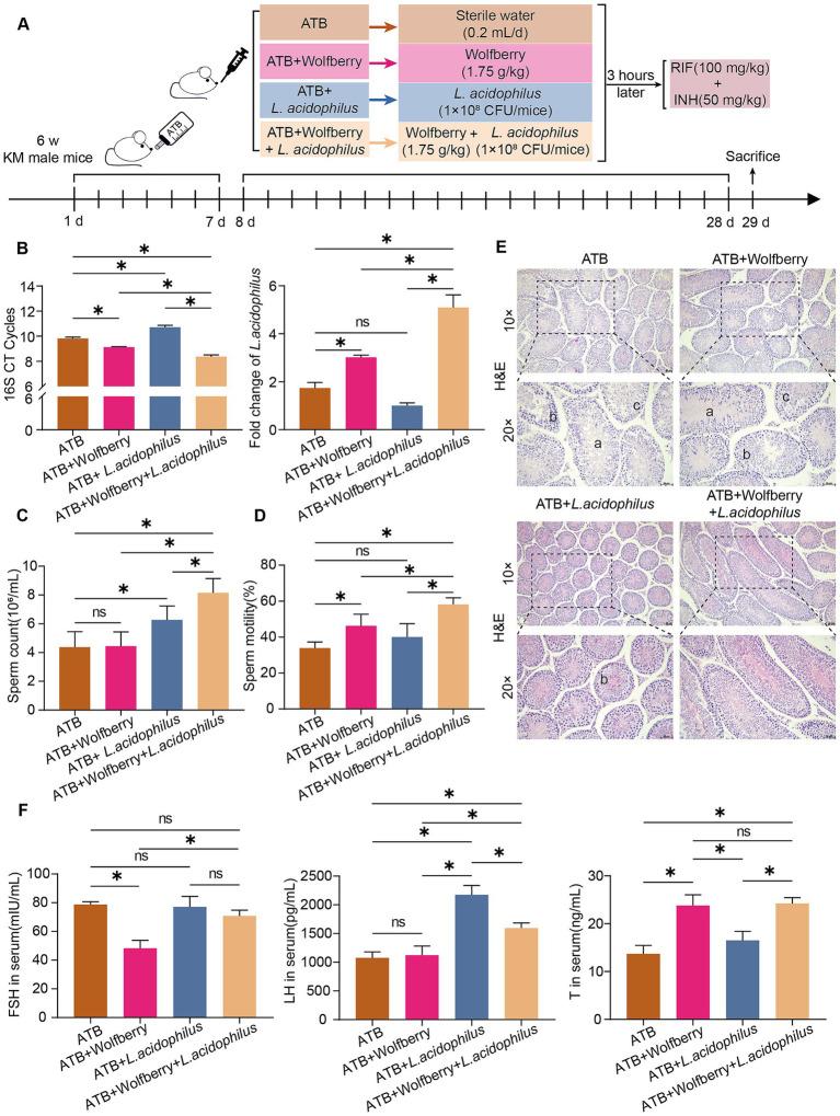 https://cdn.ncbi.nlm.nih.gov/pmc/blobs/8146/12319560/e655b1f6fa69/fmicb-16-1622017-g005.jpg