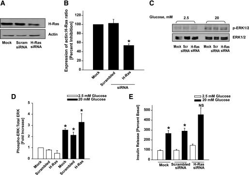 https://cdn.ncbi.nlm.nih.gov/pmc/blobs/8146/2844844/7c1afd828e30/zdb0041060720005.jpg