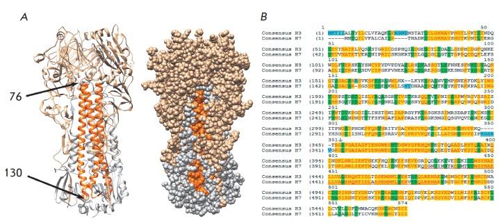 https://cdn.ncbi.nlm.nih.gov/pmc/blobs/8148/5916737/7ac830262f63/AN20758251-10-01-085-g001.jpg