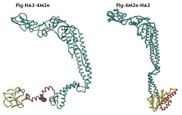 https://cdn.ncbi.nlm.nih.gov/pmc/blobs/8148/5916737/f483e5792c4c/AN20758251-10-01-085-g004.jpg