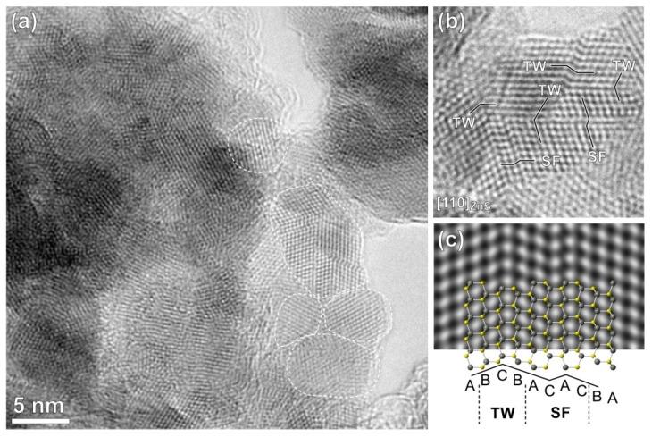https://cdn.ncbi.nlm.nih.gov/pmc/blobs/814a/6471728/6d87915ccd58/molecules-24-01031-g004.jpg