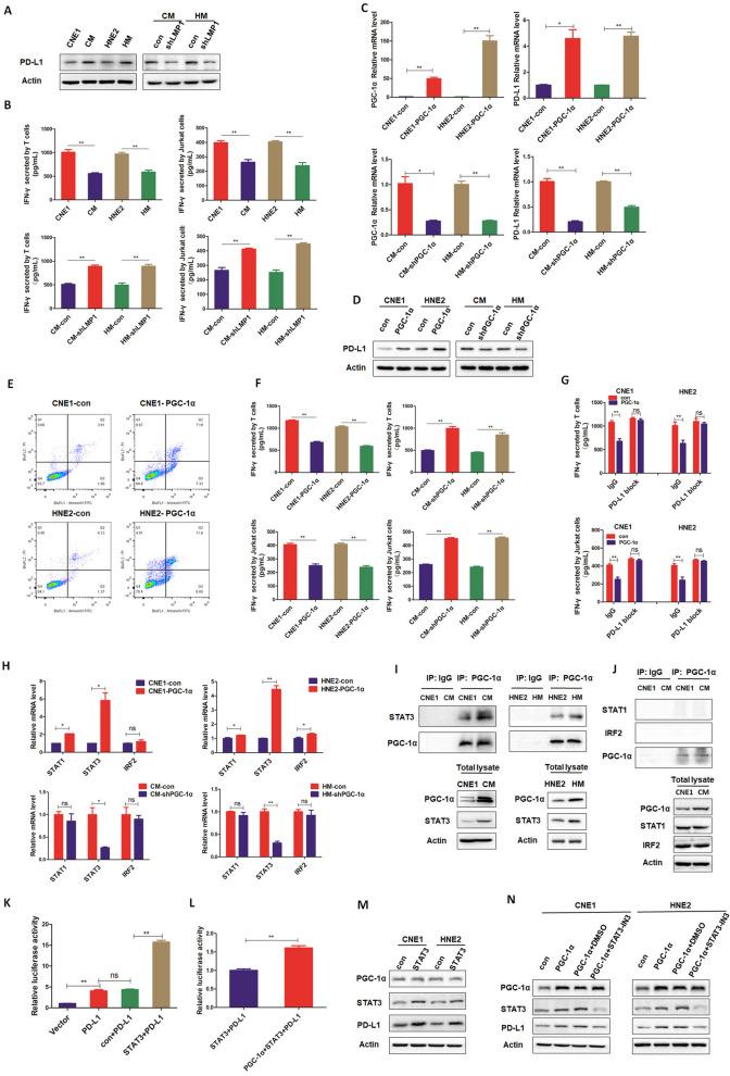 https://cdn.ncbi.nlm.nih.gov/pmc/blobs/814b/10559433/82c209ae5a0e/13046_2023_2835_Fig6_HTML.jpg