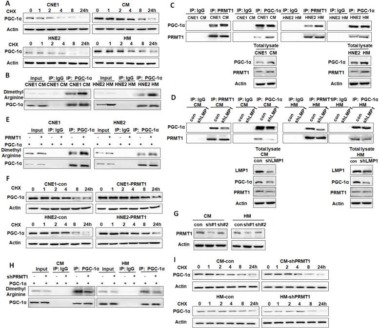https://cdn.ncbi.nlm.nih.gov/pmc/blobs/814b/10559433/ea224b335855/13046_2023_2835_Fig3_HTML.jpg