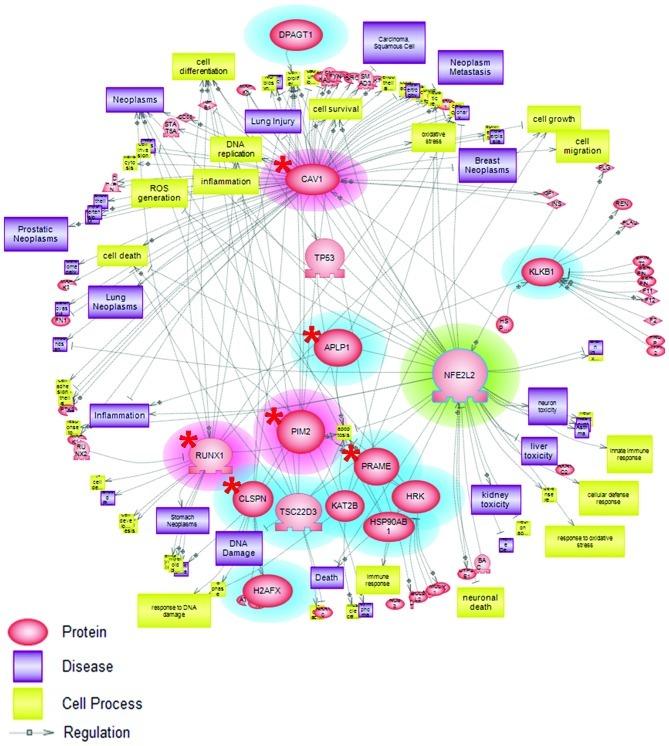 https://cdn.ncbi.nlm.nih.gov/pmc/blobs/814b/3583472/15e61edf3c24/OR-28-06-1959-g03.jpg