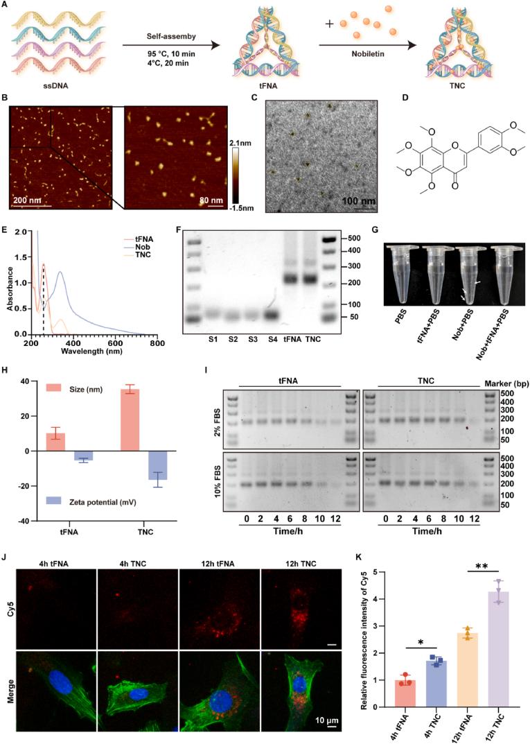 https://cdn.ncbi.nlm.nih.gov/pmc/blobs/814d/11399809/62be21e181c3/gr1.jpg