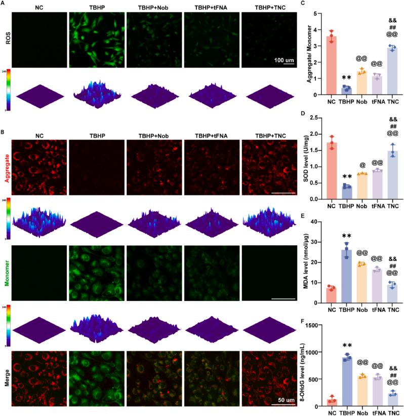 https://cdn.ncbi.nlm.nih.gov/pmc/blobs/814d/11399809/6ce0e9582d0a/gr2.jpg