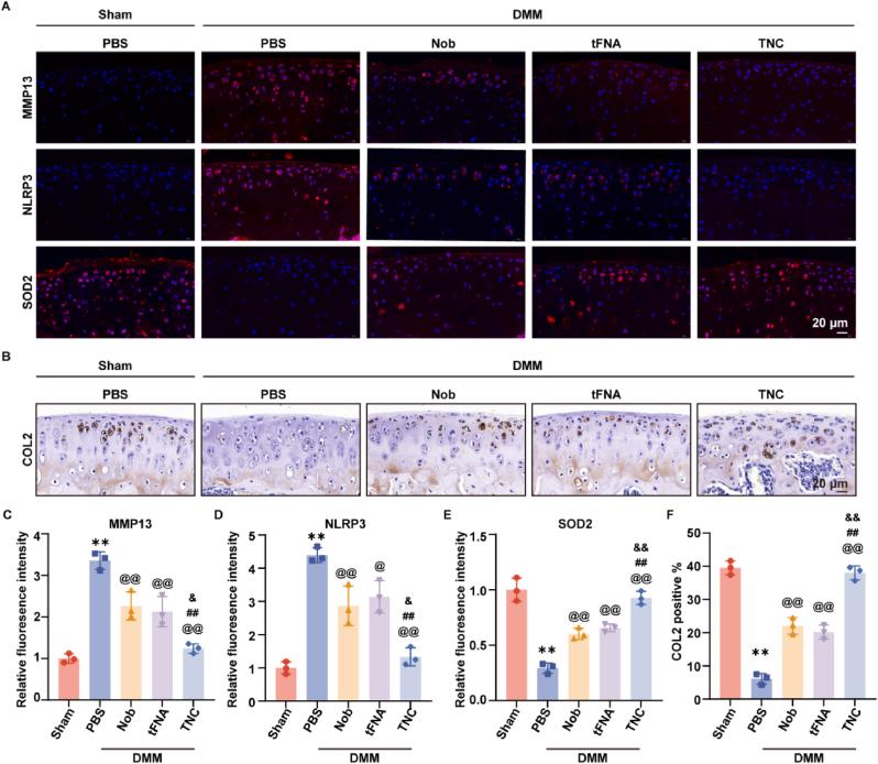 https://cdn.ncbi.nlm.nih.gov/pmc/blobs/814d/11399809/72e881f450ce/gr6.jpg