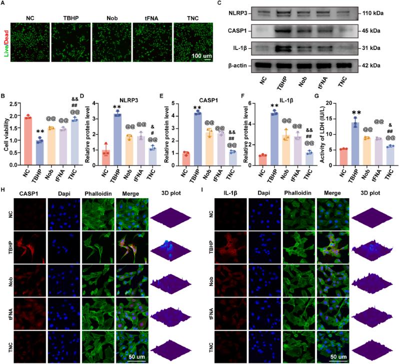 https://cdn.ncbi.nlm.nih.gov/pmc/blobs/814d/11399809/899b26a1cde0/gr3.jpg