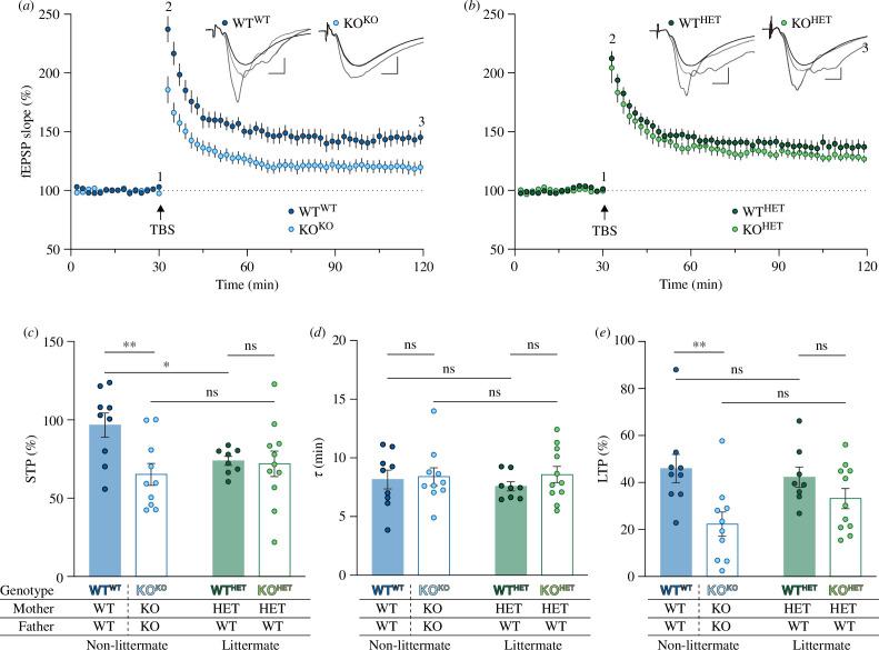 https://cdn.ncbi.nlm.nih.gov/pmc/blobs/814f/11343313/143accf8a340/rstb.2023.0484.f002.jpg