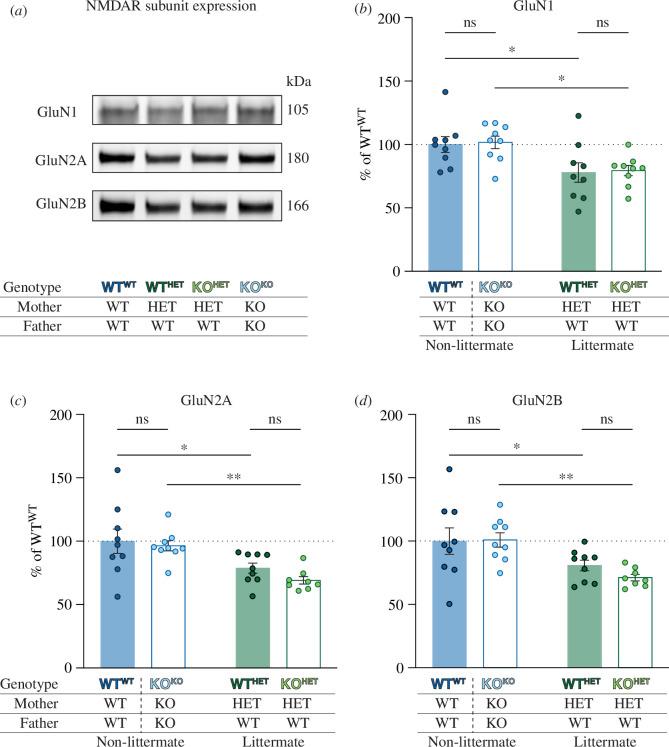 https://cdn.ncbi.nlm.nih.gov/pmc/blobs/814f/11343313/1deabb57adeb/rstb.2023.0484.f004.jpg