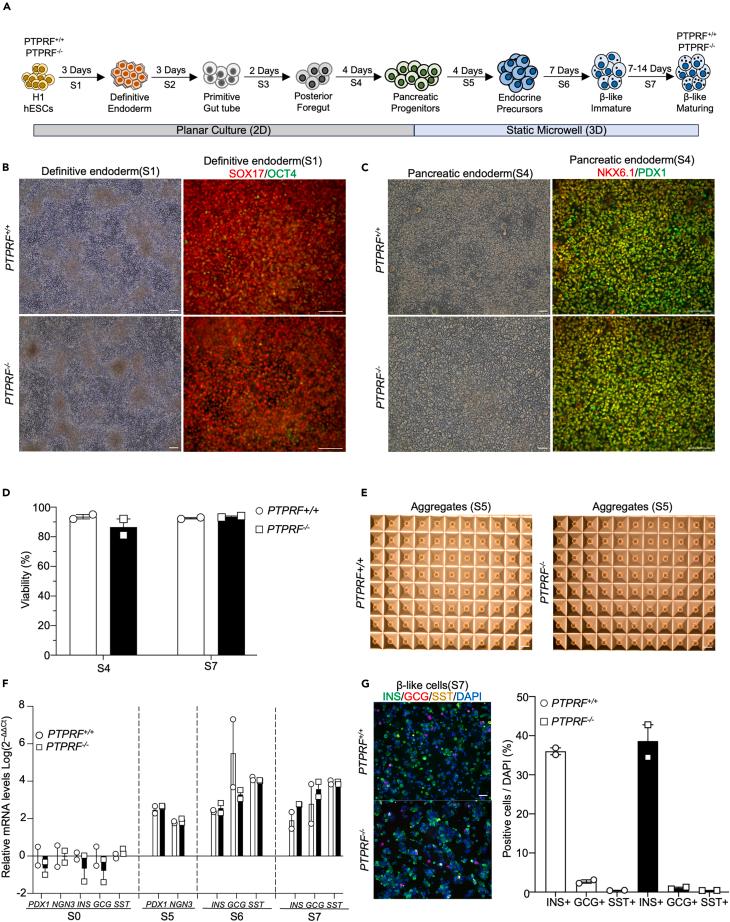 https://cdn.ncbi.nlm.nih.gov/pmc/blobs/814f/11409021/4d817b4c95cc/gr3.jpg
