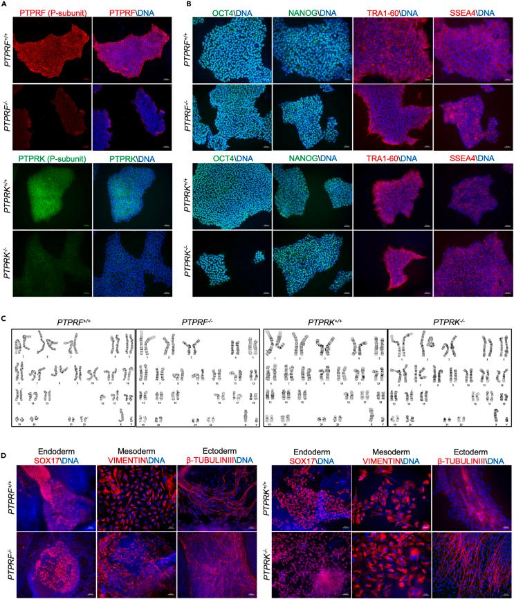 https://cdn.ncbi.nlm.nih.gov/pmc/blobs/814f/11409021/91297979d7e6/gr2.jpg